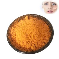 Factory Supply High Quality Antioxidant Ingredients Coenzyme Q10 Powder Ubiquinone